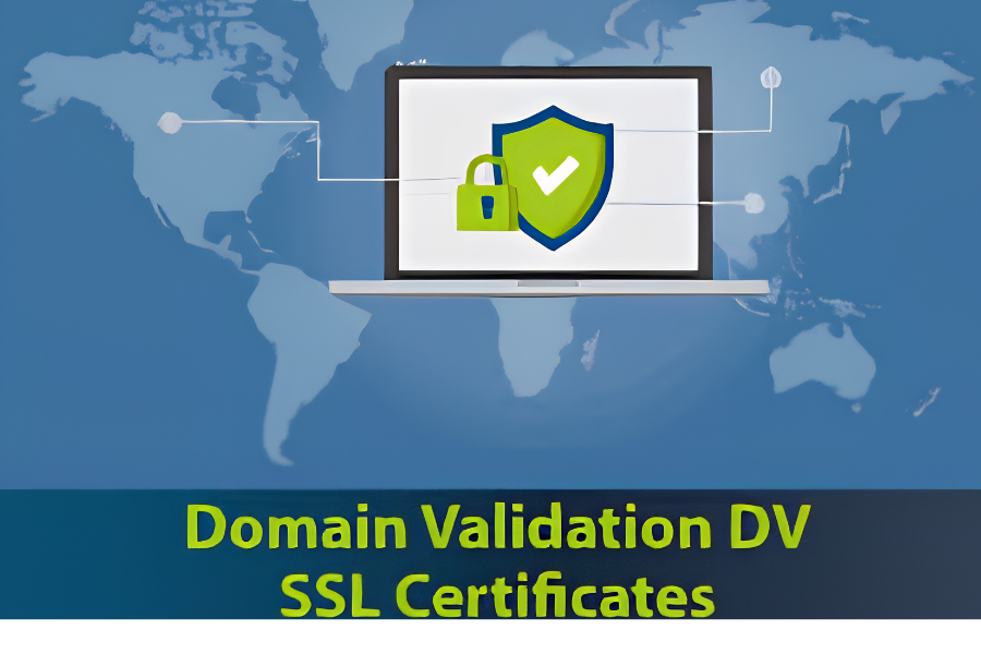 Domain Validated (DV)