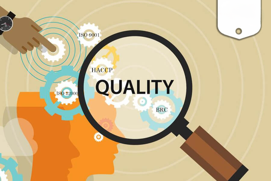 Phân tích website và kiểm tra thứ hạng từ khóa