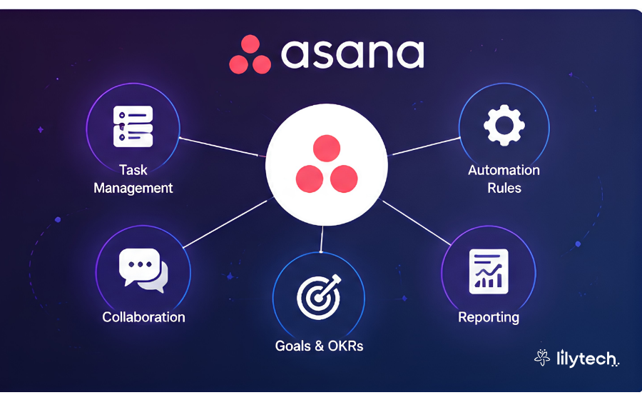 Asana Là Gì? Công Cụ Quản Lý Công Việc Và Dự Án Toàn Diện