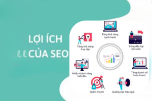 Vì sao SEO tại Lilytech là cách tốt nhất để tiếp cận khách hàng?